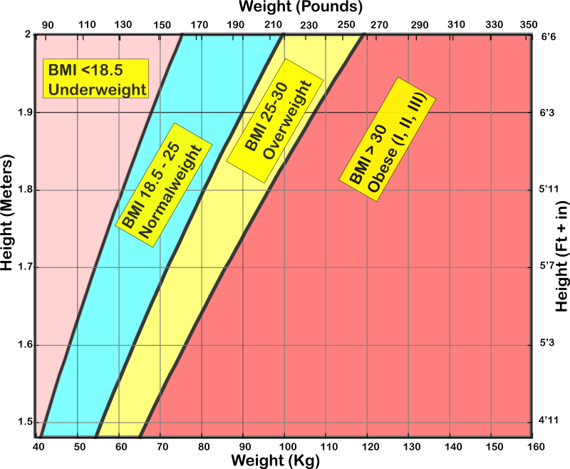 BMI chart for adults